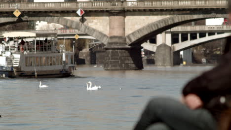 Blick-Vom-Flussufer-Auf-Brücken-über-Die-Moldau,-Während-Schwäne-Schwimmen-Und-Boote-In-Prag-Vorbeifahren