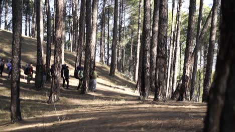 Excursionistas-Del-Himalaya-Que-Comienzan-Su-Viaje-De-Trekking-Para-Llegar-Al-Destino