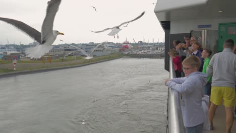 Alimentando-A-Las-Gaviotas-En-Un-Ferry-En-Verano