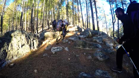 Montañeros-Del-Himalaya-De-Un-Instituto-De-Formación-De-Montañismo-En-Su-Camino-Hacia-El-Sendero