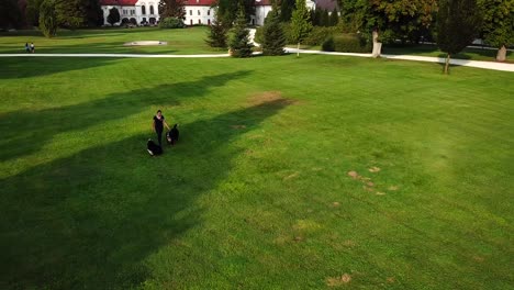 Luftaufnahme-Eines-Obedience-Trainers,-Der-Zwei-Berner-Hunden-In-Einem-Stadtpark-Das-Folgen-Beibringt