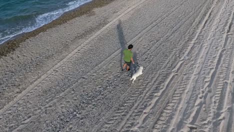 Hombre-Paseando-Un-Perro-Blanco-En-La-Playa