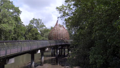 Singapore---A-Bridge-With-A-Distinct-Pod-like-Designed-Structure-Elevated-Above-The-Mudflats-In-Sungei-Buloh-Wetland-Reserve---Medium-Shot