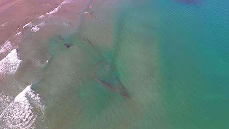 Boca-del-Rio-beach-hides-a-sunken-ship