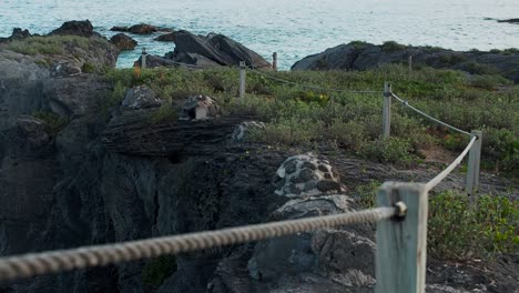 Cooper's-Island-Nature-Reserve-is-one-of-Bermuda's-beautiful-beach-parks