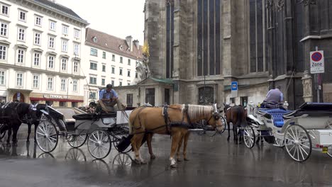 Fiaker-Pferdekutschen-Und-Fahrer,-Die-Sich-Ausruhen