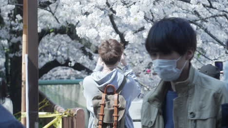 Personas-Tomando-Fotos-De-Flores-De-Cerezo-En-Flor-Usando-Sus-Teléfonos-Inteligentes-Durante-La-Temporada-De-Hanami-En-Medio-De-Una-Pandemia