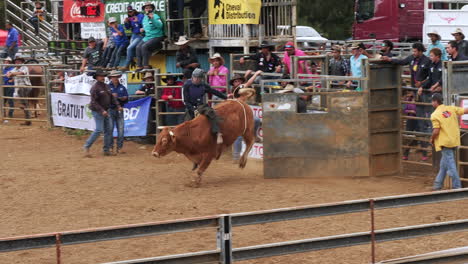 Bull-rider-quickly-thrown-from-bucking-bull-at-Foire-de-Bourail-rodeo,-Grande-Terre,-New-Caledonia