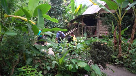 Tourists-enjoying-a-visit-to-the-Eden-Project-near-St-Blazey,-Cornwall,-UK