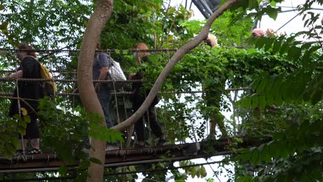 Tourists-cross-a-wobbly-rope-bridge-inside-the-Eden-Project-in-Cornwall,-UK