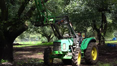 Un-Hombre-Esperando-En-Un-Tractor-Verde-Más-Grande-Esperando-Debajo-De-Un-árbol-De-Aguacate-En-México-Durante-La-Cosecha