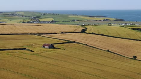 Campos-Amarillos-Y-Océano-Azul-Con-Casas-Adoradas,-Costa-De-Irlanda