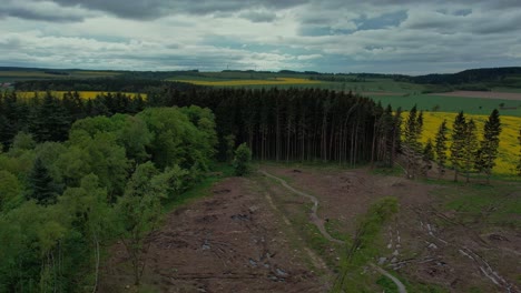 Fotografía-Cenital-De-Los-árboles-Que-Sopla-El-Viento-Cerca-De-La-Ciudad-De-Svitavy-Durante-La-Primavera-En-Un-Día-Nublado,-República-Checa