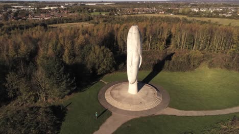 The-Dream-sculpture-Bold-forest-landmark-face-obelisk-statue-aerial-view-St-Helens-rising-pull-away