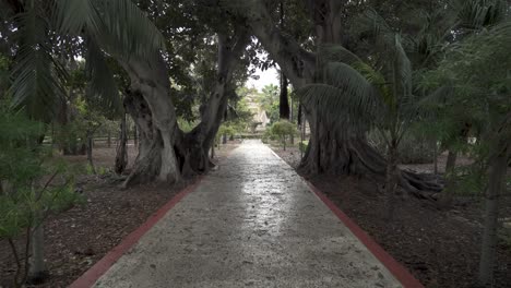 Gerader-Weg,-Der-Zum-Brunnen-Zwischen-Zwei-Großen-Bäumen-In-San-Anton-Gardens-Führt