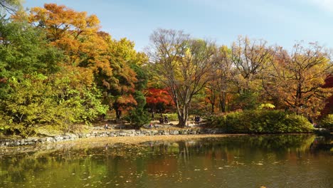 Gente-Caminando-A-Lo-Largo-Del-Estanque-Chundangji-En-El-Palacio-Changgyeonggung-De-Follaje-Otoñal,-Covid-19,-Seúl-Corea-Del-Sur