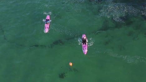 First-steps-learning-surfing-at-Marazion-England-aerial