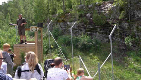 Zoo-employe-educating-audience-and-holding-raw-meat-in-his-hand-while-wolves-walking-behind-fence---Norway-bear-park-Bjorneparken---Static-handheld