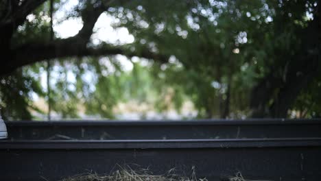 Slow-Motion-Shot-of-someone-walking-on-abandoned-Train-Tracks