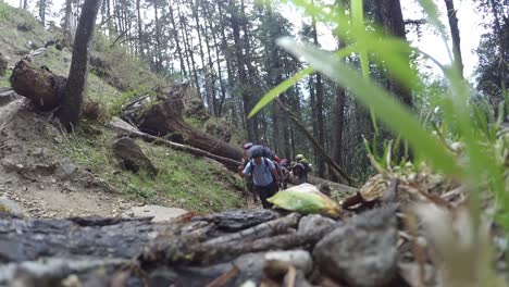 Montañeros-Del-Himalaya-De-Un-Instituto-De-Formación-De-Montañismo-En-Su-Camino-Hacia-El-Sendero