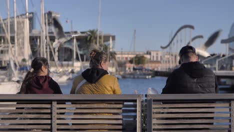 Tourist-people-sitting-on-seafront-benches-relaxing-as-seagulls-flying-slow-motion-above