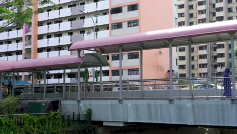 Muslim-woman-walking-a-covered-pathway-,-Whampoa-,-Singapore