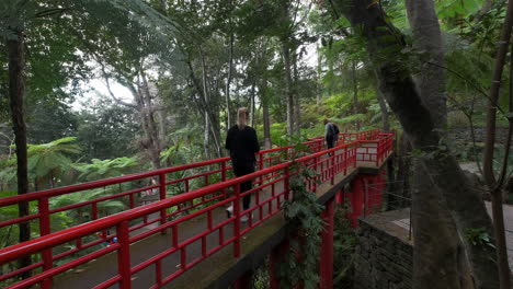 Hübsche-Frau,-Die-Auf-Der-Roten-Brücke-Im-Botanischen-Regenwaldgarten-Mit-Grünen-Pflanzen-Und-Bäumen-Spaziert