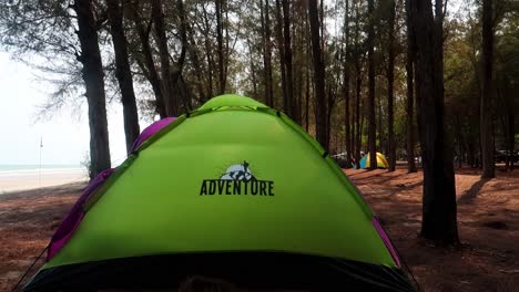 Grünes-Zelt-Am-Strand-Zwischen-Nadelbaumreihen-Im-Wald-Auf-Dem-Campingplatz