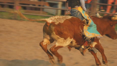 Wütender-Stier-Leidet-Beim-Montana-Rodeo-Und-Verletzt-Den-Matador-Reiter