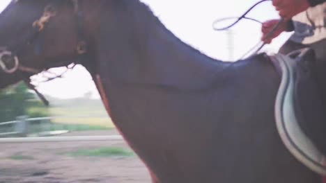 Horse-Rider-Riding-A-Dark-Brown-Horse-On-A-Sunny-Day-With-Sunlight-Flare