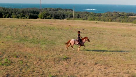 Trote-De-Caballos,-Lozenec,-Bulgaria,-Mujer-Montando-A-Caballo-En-Un-Campo,-El-Mar-Como-Fondo