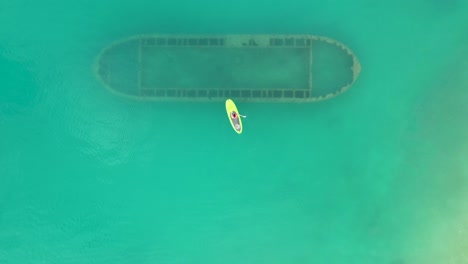 Birds-eye-view-of-woman-stand-up-paddle-over-rusty-shipwreck-in-clear-turquoise-water-by-tropical-island