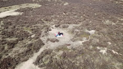 Young-couple-in-love-having-a-picnic-in-a-typical-dutch-heathland