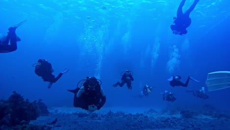 Zwei-Tauchergruppen-Kreuzen-Sich-Unter-Wasser