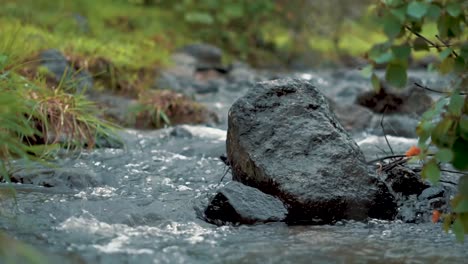 Es-Ist-Ein-Fluss,-Der-Durch-Den-Wald-Fließt