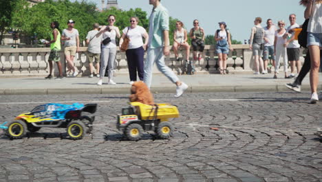 Person-that-has-tied-an-american-flag-to-his-bicycle-and-is-towing-toy-cars-after-it-with-different-plush-toys-inside-of-them