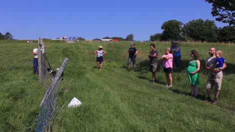 A-Border-Collie-herds-a-flock-of-Sheep-in-Harpswell,-Maine