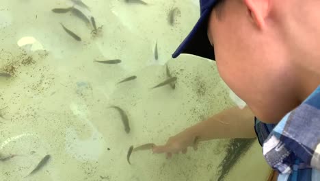 Boy-exploring-and-touching-ocean-animals-at-Sea-World-San-Diego