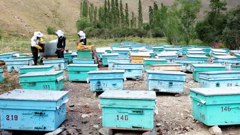 Apicultores-Cuidando-Colmenas-En-Kirguistán-Asia-Central-Ubicado-En-Un-Hermoso-Valle-De-Las-Montañas