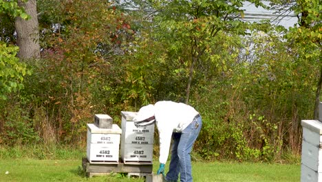 beehives-being-checked-by-a-beekeeper-4k