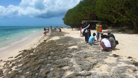 Turistas-En-La-Playa-De-Kaiji-En-Busca-De-Arena-En-Forma-De-Estrella-En-Un-Día-Soleado