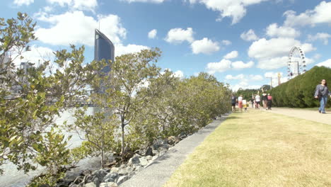 Life-on-the-river,-Brisbane-South-Bank-Time-Lapse