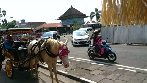 Yogyakarta,-Un-Lugar-Cultural-Para-Ir-En-Indonesia