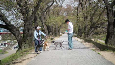 Perros-Con-Sus-Dueños-Japoneses-Sosteniendo-Correa-E-Interactuando-Entre-Sí-En-El-Parque-En-Kyoto,-Japón---Cámara-Lenta---Plano-General