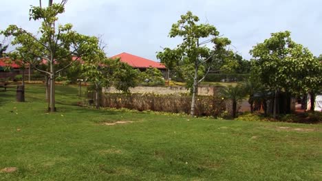 Dole-Plantation-orchard-and-facility-buildings,Oahu,-Hawaii