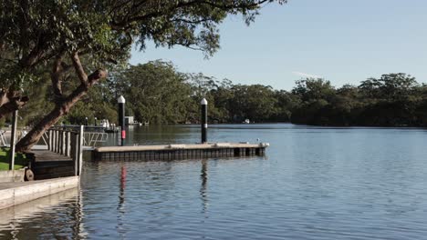 Man-drops-fish-feed-on-Moona-Moona-Creek-followed-by-his-dog-from-an-extended-pier,-Locked-shot