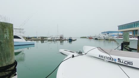 Blick-Auf-Den-Kleinen-Bootshafen-Vom-Dock-Aus