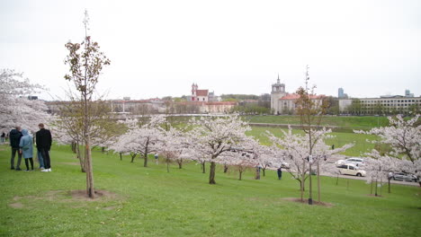 Panorama-Of-Vilnius-From-Sakura-Park-on-a-Gloomy-Day