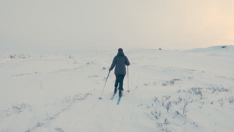 Lonely-female-cross-country-skier