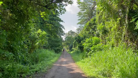 People-walking-at-the-green-corridor,-old-railway-line-in-Singapore